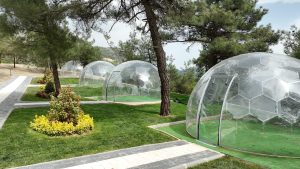 Kule Orman Park Mesire Alanı (6)