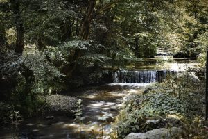 Mustafakemalpaşa Tümbüldek Kaplıcaları (3)