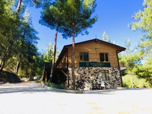düğüncüler (6)