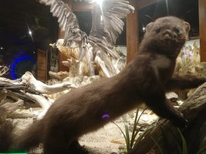 20200610_101233