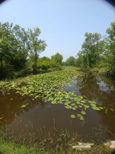 MNS G1 IN10 N1 O2.00 Y0.00 C0.00 YT0 CT0 s0 sY0.00 S0 C0   FM0   FC000000000