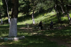 IMG_1095