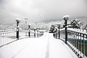 Kültürpark