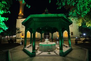 Yeşil Cami (5)