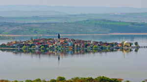 file (7)