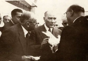 ATATURK MERINOS (3)