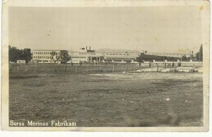ATATURK MERINOS