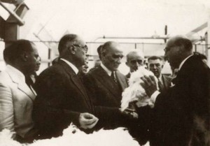 ATATURK MERINOS (6)