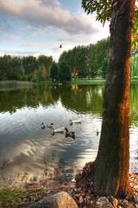 BOTANIK PARK (10)