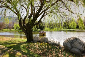 BOTANIK PARK (1)
