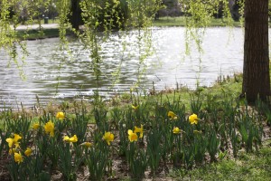 BOTANIK PARK (3)