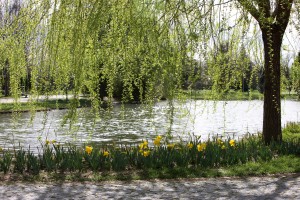 BOTANIK PARK (4)