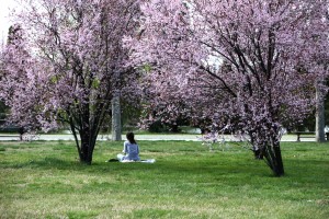 BOTANIK PARK (5)