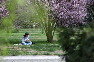 BOTANIK PARK (6)