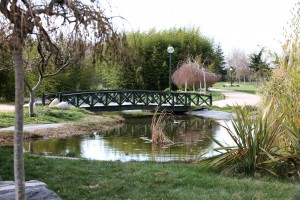 BOTANIK PARK (7)