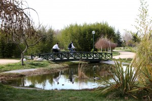 BOTANIK PARK (8)
