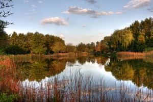 BOTANIK PARK