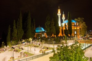 EMIRSULTAN CAMII (4)