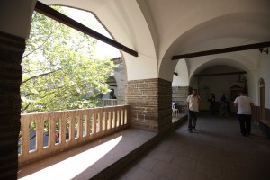 FIDANHAN (4)