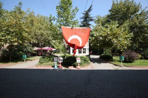 FIDANHAN (6)