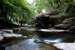 SUUCTU SELALESI (1)