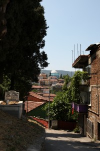 YESIL TURBE (9)